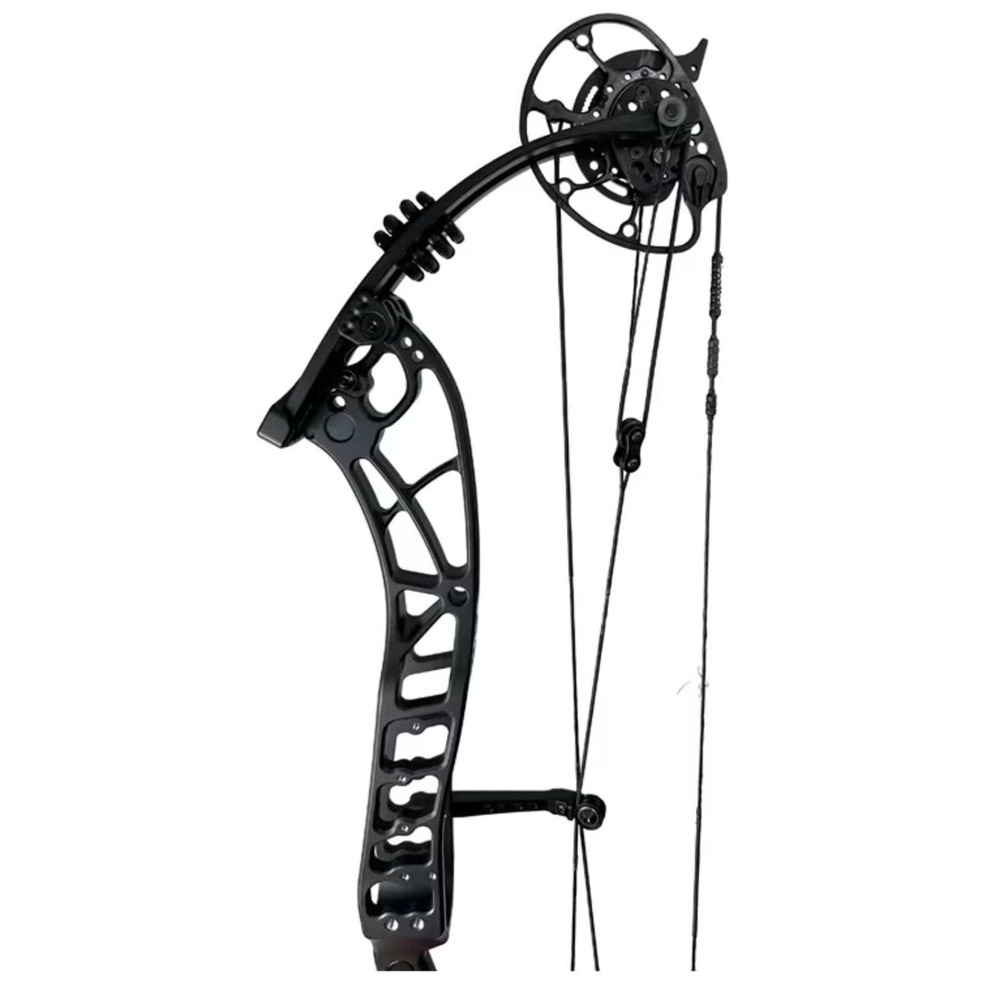 Darton Exodus Compound Bow